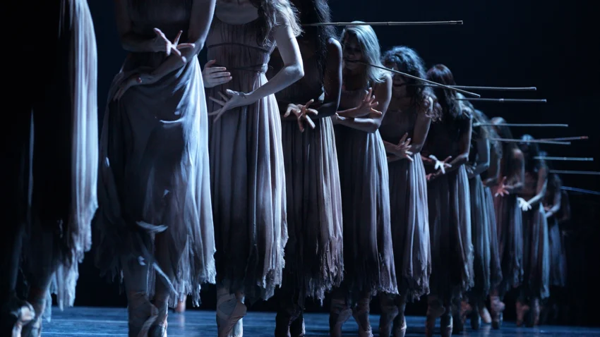 a line of dancers standing in a row with moody lighthing